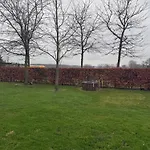 Q80