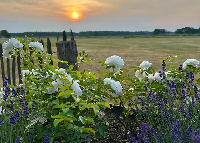 Apartamento Q80 Schermbeck